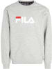 Fila Pullover in Grau