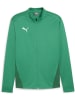 Puma Trainingsjacke "TeamGoal Training Jacket" in Grün