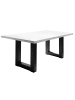 58 aufm Kessel ESSZIMMERTISCH Eila 8 140 x 90 x 75 Esstisch Schwarzstahl/Weiß Matt Lack