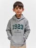 Hummel Kapuzenpullover Hmlnipps Lebensstil Jungen in LIGHT GREY MELANGE