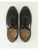 Terry Sneaker low in Schwarz