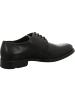 LLOYD Schnürschuhe in schwarz