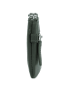 Esquire Viktoria Schlüsseletui Leder 12 cm in grün
