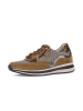 Gabor Sneaker low in multicolour