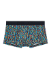 HOM Hipster Short / Pant Floyd in Mehrfarbig