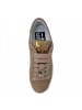 GIO+ Sneaker  in Beige