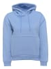 Freshlions Hoodie Balina in Hellblau