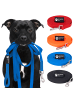 Reichstadt RS Pets Hundeleine PVC in Blue