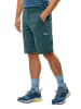 Jack Wolfskin Funktionsshorts/Wandershorts GLASTAL SHORTS M in Grün