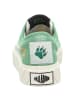Palladium Sneaker Low in grün
