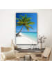 MuchoWow Leinwand bilder Palme (BxH)