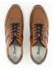 Sioux Sneaker low in Braun