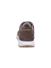 Pius Gabor Sneaker Low in beige