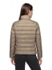 Betty Barclay Daunen-Steppjacke mit Stehkragen in Elephant Skin