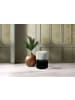 Kayoom Hocker Gipsy in creme - schwarz
