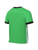 Nike Nike Dri-FIT Academy 25 SS Top in Grün