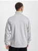 Puma Puma Half-Zip in lightgrey heather
