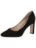 Caprice Pumps in BLACK SUEDE