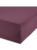 REDBEST Single-Jersey Boxspring-Spannbettlaken Denver in aubergine