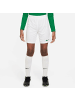 Nike Kurze Hose für Herren in uni