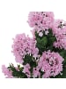 MCW Künstlicher Flieder Q87, Rosa
