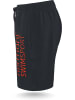 normani Herren Badeshorts Nio in Schwarz