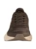 Lotto Sneakers Low OREDA in braun