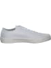 Tommy Hilfiger Sneakers in white