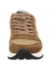 Sun68 Sneaker Low in braun