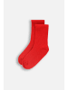 Coccodrillo Socken in rot