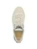 Palladium Sneaker low Palla Ace Lo Surplus in weiss