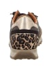 Cetti Sneaker Low in braun