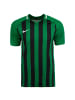 Nike Performance Fußballtrikot Striped Division III in grün / schwarz