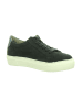 Gabor Sneaker für Damen in blau