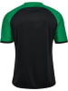 Hummel T-Shirt "Match League Jersey S/S" in Schwarz