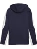 Puma Hoodie "TeamEVOSTRIPE Hoody" in Blau