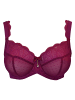 SugarShape BH Clara Lace in bordeaux