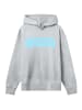 F4NT4STIC Hoodie Oversized Shirt Knut & Jan Noorden Collegiate in grau meliert