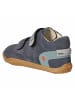 qnuffs Barfußschuhe BUCHE in blau
