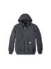 CARHARTT  Sweatshirt in grau
