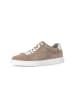 Pius Gabor Sneaker low in braun