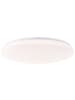 Brilliant Brilliant LED Deckenleuchte Troba G80771/05 Flur, Küche, Wohnzimmer, S