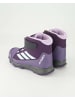 adidas Klettstiefel in Lila