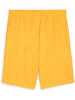 Puma Sporthose "TeamGoal Shorts" in Orange
