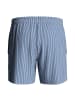 Impetus Badehose IM1940M3100 in blau