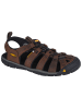 Keen Keen Clearwater CNX in Braun