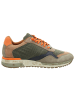 Cetti Sneaker Low in grün