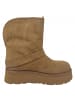 Guess Schaftstiefel  Dolsay in Braun