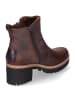 PANAMA JACK Stiefeletten PAULINE IGLOO in braun