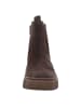 Gabor Stiefeletten in braun